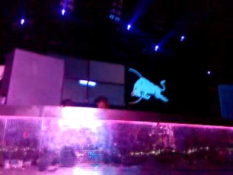 TocaDisco @ Dreamers Big Summer Djs 2010