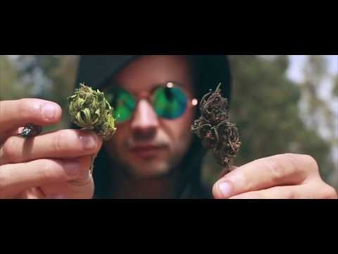 RootsMoe - Legalize Remix (H.D.M.I Real Conexión)