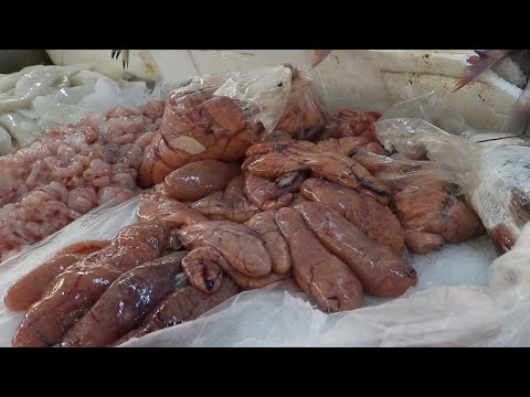 download lagu mp3 mp4 Lumpfish Roe Benefits, download lagu Lumpfish Roe Benefits gratis, unduh video klip Lumpfish Roe Benefits