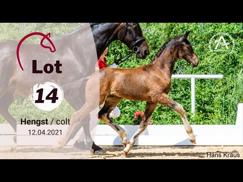 Catalogue #14 - Donathiu - 1st AUSTRIAN ONLINE FOAL AUCTION
