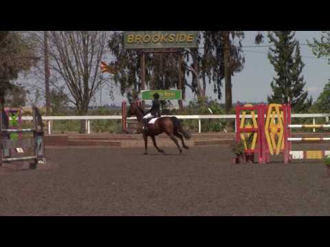 Brookside Premier 1 - Captiva