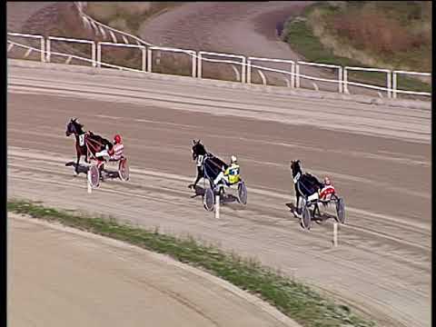 Trotto 01/12/2019 - prova di qualifica