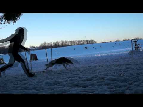 Nice Nayla  - Training for Running Contacts