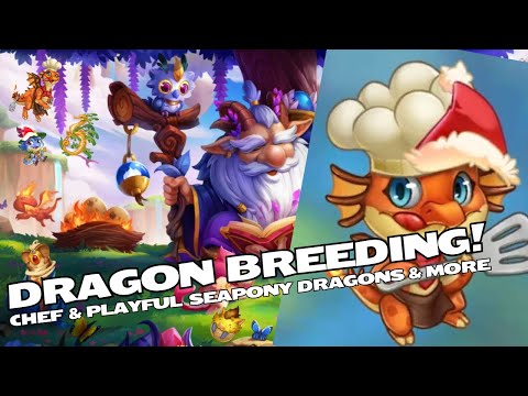 Merge Dragons: Dragon breeding! Chef & Playful seapony dragons & more
