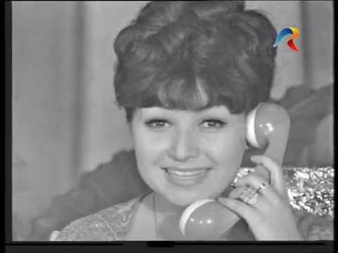 Gospodina prin telefon - Rodica Popescu Bitanescu