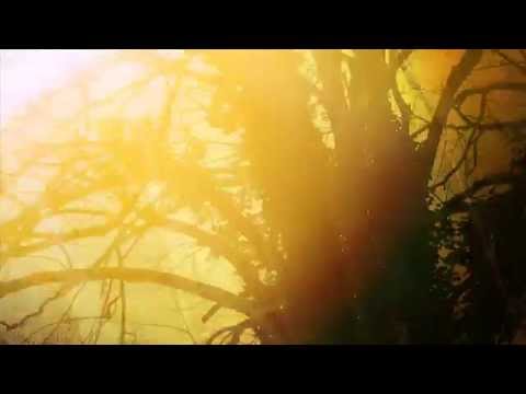 CIALYN - Secret Garden