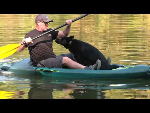 On The Kentucky River With "Dazzle" The Wonder Dog