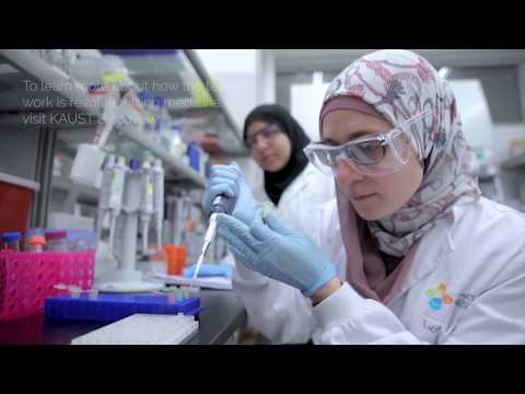 Algorithm turns cancer gene discovery on its head