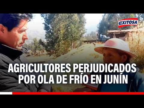 🔴🔵 Bajas temperaturas afectan a agricultores de zonas altoandinas de Junín