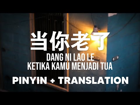 当你老了 Dang Ni Lao Le [Pinyin + Translate]