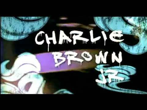 Skate Vibration video