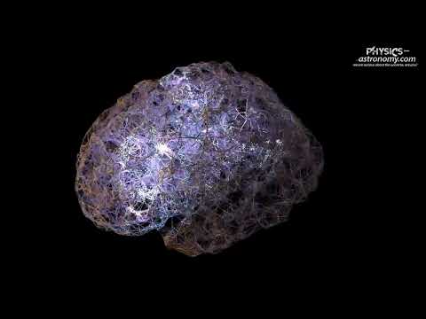 Groundbreaking Discovery: Human Brain builds structures in 11 dimensions