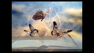 ♥ ARIA - GIANNA NANNINI ♥