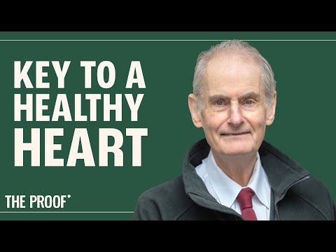 Lower Your Cholesterol With THESE Foods | Dr. David Jenkins  | The Proof Podcast EP 216