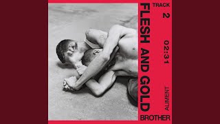 Flesh and Gold Music Video