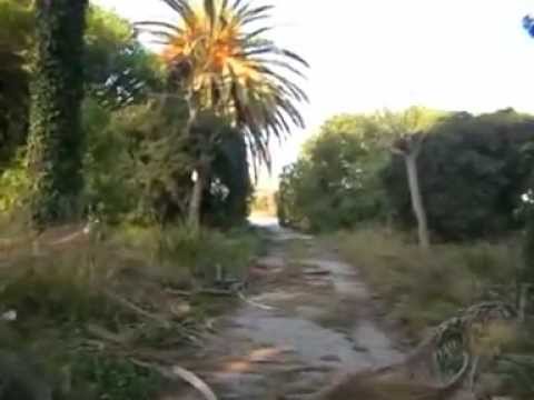 El parc militar i Steven Spielberg