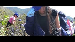 Andean Commercial Chemistry in reforestation day