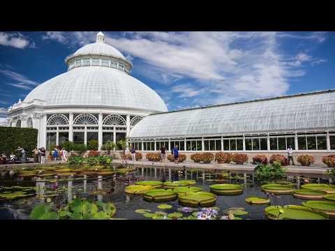 Tourist in Your Own Town #51 - New York Botanical Garden