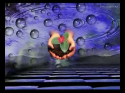 NICKELSON-ACQUAPHONIC