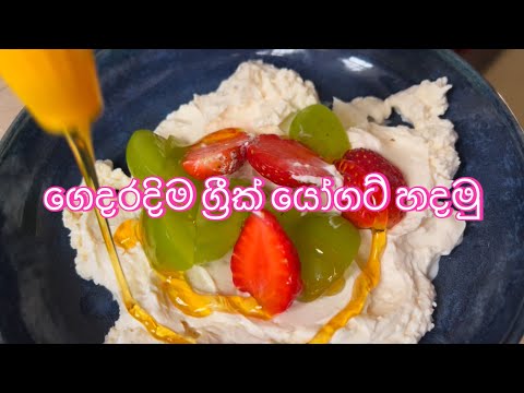 Greek Yogurt recipe 🩷