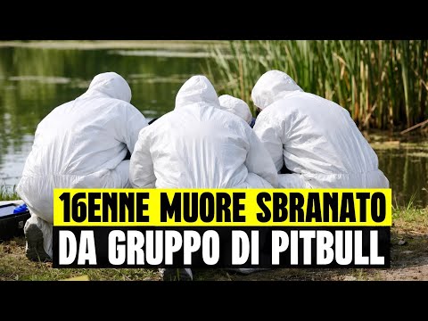 BREAKING NEWS: 16-YEAR-OLD DIES TORTURED BY A GROUP OF PITBULLS WHILE FISHING: THE DRAMA