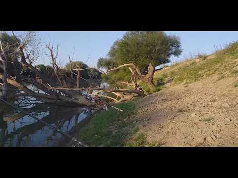 Cu uica Gore.  De dimineata la pescuit.