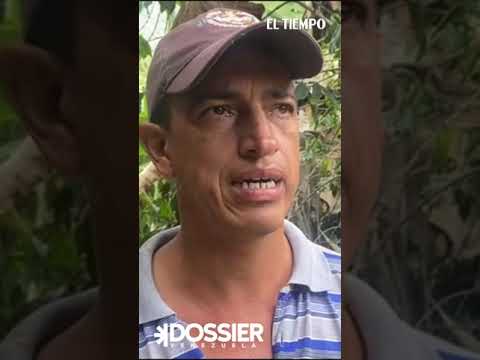 Caficultores venezolanos: afectados por contrabando y falta de apoyo gubernamental | El Tiempo