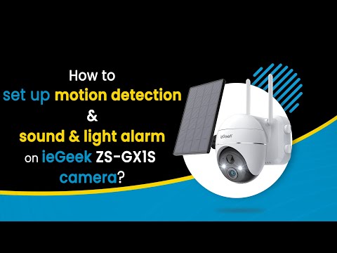 Motion Detection Setup