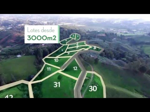 download lagu mp3 mp4 Lotes Oriente Antioqueo, download lagu Lotes Oriente Antioqueo gratis, unduh video klip Lotes Oriente Antioqueo