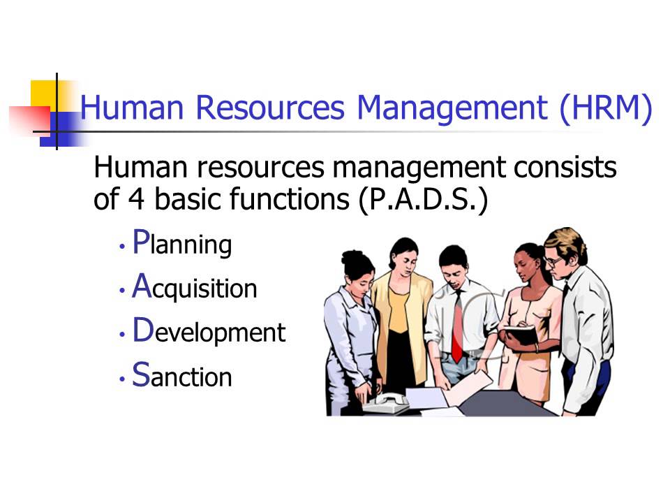 KINS3313 Implementation