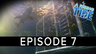 A Rising Tide docu-series