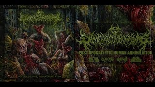 DIPHENYLCHLOROARSINE - POST APOCALYPTIC HUMAN ANNIHILATION [OFFICIAL ALBUM STREAM] (2017) SW EXCL