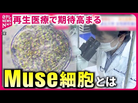 死後: 研究者が人間の細胞を生き返らせる