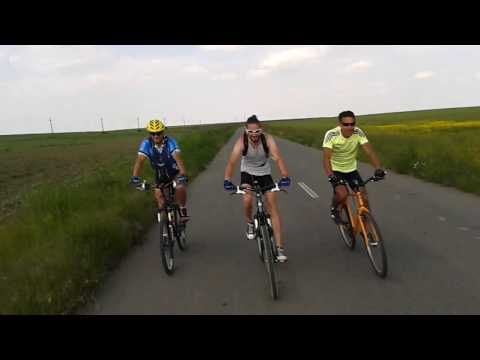 ii dam talpa...la talpa, jud tr