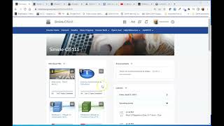 How to Delete an Item in the Grade Book in Brightspace