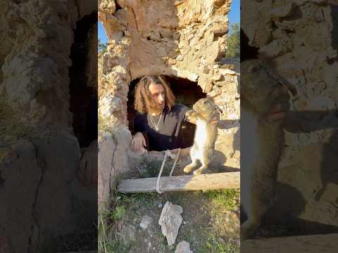 Je suis arrivé trop tard !! 🐰😰