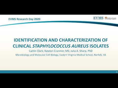 Thumbnail image of video presentation for Identification and Characterization of Clinical Staphylococcus aureus Isolates