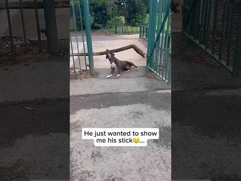 We miss you so much…🥺💔