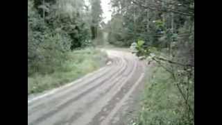 Radek Typa - TESTY / Runowo.