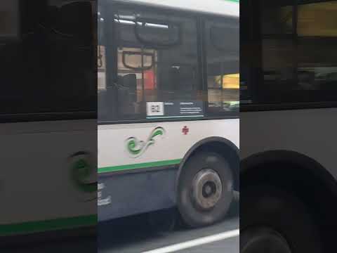 Linea 62 int. 172 (Distinto)