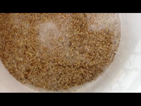HBW #31: Brew Day--Pearl Ale / New Mash Tun