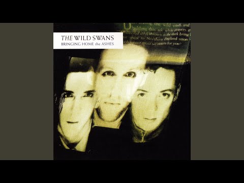 Whirlpool Heart - The Wild Swans