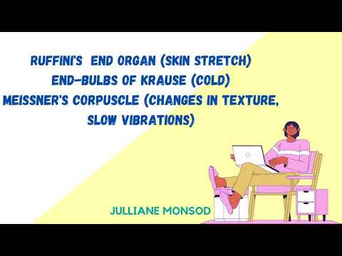 Monsod (Ruffini's End Organ, End-Bulbs of Krause, and Meissner's Corpuscle) - Physio Psych