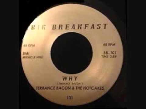 Terrance Bacon & The Hotcakes  -  Why