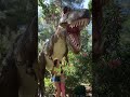What Is This Dinosaur Shorts By Anna Kova