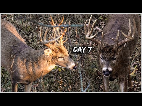 Day 7: I Rattled In Six Bucks (At Least!)