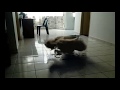 Some Vfx Test With Fumefx In 3ds Max Small Tornado