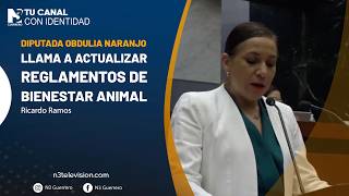 Diputada Obdulia Naranjo llama a actualizar reglamentos de bienestar animal