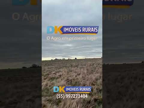 🚨 EXCELENTE NEGÓCIO RURAL EM LAVRAS DO SUL/RS! 🚜🌾