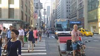 MTA NYCT & Academy Bus SIM3, SIM6, SIM10, SIM22, SIM23, SIM24, SIM30, SIM31 Action @ 5 Ave & 42 St